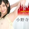 Thumbnail of related posts 087